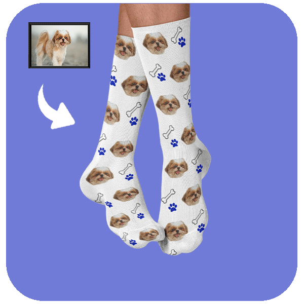 Śmieszne Skarpetki z Pupilem Kostki