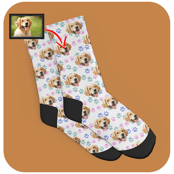 Skarpetki ze zdjęciem Psa - Kolorowe Łapki