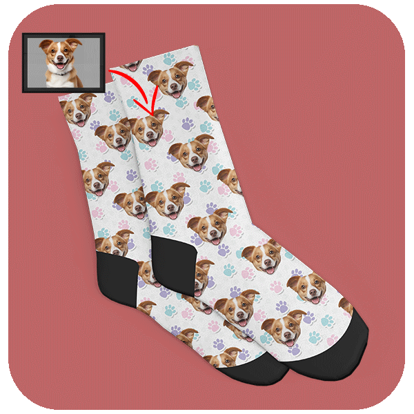 Kolorowe Skarpetki ze Zdjęciem Pupila